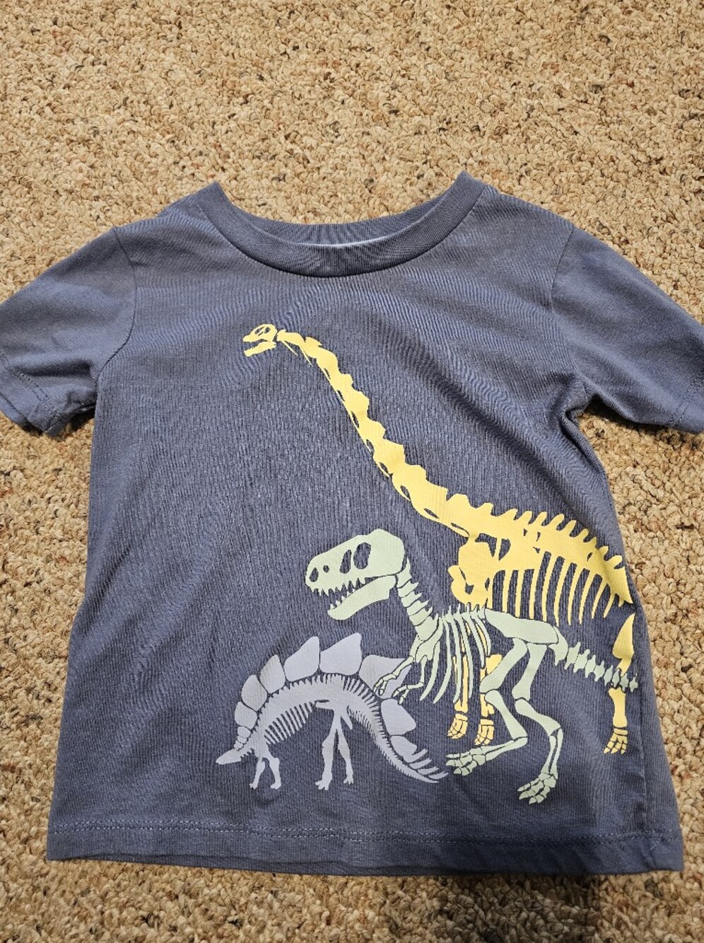 Falls Creek Blue Kids Tee with Yellow and Light Green Dinosaur Skeletons